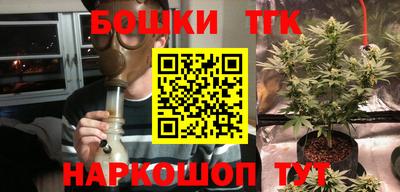 гидра Аргун