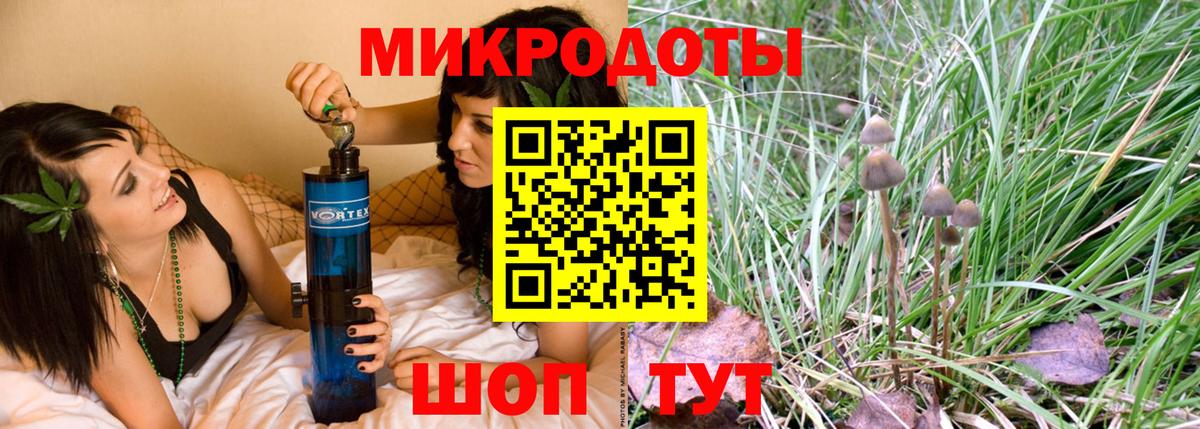 Астрахань  Галлюциногенные грибы Psilocybine cubensis  Вход с VPN 